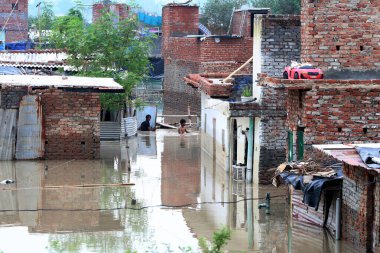 NEW DELHI INDIA 15 Temmuz 2023 Badarpur 'un Jaitpur uzantısında, Yamuna sel yatağı yakınlarındaki sel suları, Yeni Delhi' de 15 Temmuz 2023 tarihinde Delhi yoluna girdi.