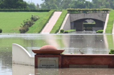 NEW DELHI INDIA 15 Temmuz 2023 Yamuna nehri Yeni Delhi Hindistan 'da 15 Temmuz 2023' te Tehlike seviyelerinin üzerine çıktıktan sonra sel basmış Rajghat manzarası morgda tüm zamanların en yüksek seviyesini geçtikten sonra nehrin su seviyesi Çarşamba gününden beri yükseliyor.