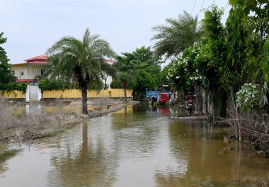 19 Temmuz 2023 'te Noida Hindistan' da 135. Bölgedeki Yamuna selinin ardından bir yol görüldü. Fotoğraf Sunil Ghosh Hindustan Times tarafından çekilmiştir.