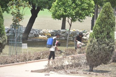 NEW DELHI INDIA 22 HAZİRAN 2023 Bir MCD çalışanı 22 Temmuz 2023 tarihinde Rajghat 'ta Sivrisinek kontrolü için Kimyasal sprey sıkan Yeni Delhi Hindistan Fotoğrafı: Sonu Mehta Hindustan Times