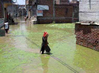 GREATER NOIDA INDIA 24 HAZİRAN 24 HAZİRAN 2023 Hindon nehri etrafındaki alçak yerlerde yaşayan insanlar, kabaran nehrin taşkın sularından geçerek Purana Haibatpur köyünde 24 Haziran 2023 'te Büyük Noida Hindistan' da Sunil Gh tarafından çekilmiştir.