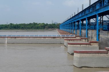 24 Temmuz 2023 'te Noida Hindistan' da 24 Temmuz 2023 'te Okhla Barajı' nda su seviyesi düştükten sonra sular altında kalan Yamuna Nehri manzarasının tehlike seviyesini aşması bekleniyor. Fotoğraf: Sunil Ghosh Hindustan Times