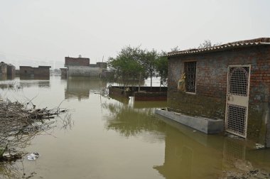 FARIDABAD INDIA 29 Temmuz 2023 Yamuna nehri taşkın suyu Basantpur köyü yakınlarındaki Shiv Enklavı 'ndaki evlerde ağaç kesimi; 29 Temmuz 2023 tarihinde Faridabad Hindistan Fotoğrafı: Parveen Kumar Hindustan Times