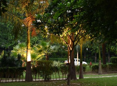 NEW DELHI INDIA AUGUST 22 2023 Lighting trees at The Hotel Claridges Round about in view of Beatification of the streets for the up coming G20 Summit on August 22 2023 in New Delhi India Photo by Vipin Kumar Hindustan Times clipart