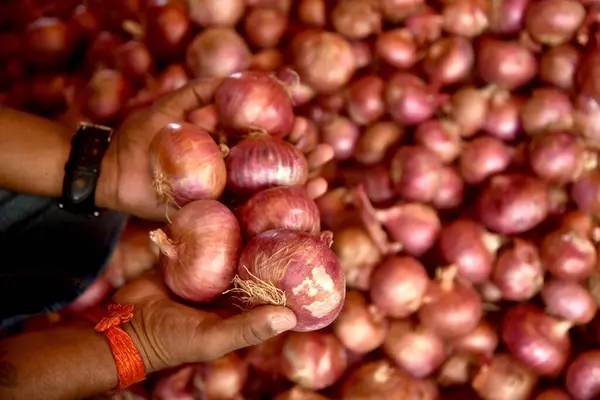 stock image NAVI MUMBAI INDIA AUGUST 22 2023 A view of Onion seller at APMC Market Sector 18 Vashi on August 22 2023 in Navi Mumbai India After a long slump onion prices are again on the rise causing concern for the central government As a result the Ministry of