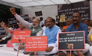 NEW DELHI INDIA AUGSTOS 3. 2023 Eski Sendika Bakanı ve BJP lideri Vijay Goel ve diğer sahnede bir Dharna ile RWA 'lar ve Delhi Belediye Başkanına Karşı Köpek Tehdidi adlı STK' lar ve Başıboş Köpek Tehdidi Hükümeti 'nin% 100 Sterilizasyonu ve Ra karşıtı olmasını talep ediyor.