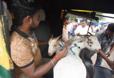 NEW DELHI INDIA JUNE 28 2023 Muslim people after purchasing goat at Jama Masjid market on the eve of Eid al Adha festival on June 28 2023 in New Delhi India A day before the festival of Eid ul Azha the Muslim community is gearing up for the day of ob clipart