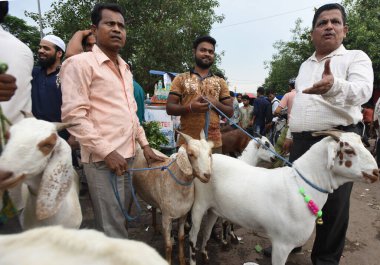 YENİ DELHI INDIA HAZİRAN 28 HAZİRAN 2023 Jama Mescidi pazarından keçi satın aldıktan sonra 28 Haziran 2023 tarihinde Yeni Delhi Hindistan 'da Kurban Bayramı' ndan bir gün önce Müslüman cemaati Jacob günü için hazırlanıyor.