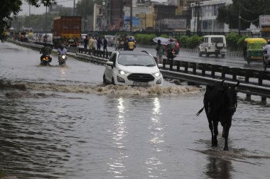 GURUGRAM INDIA 29 Haziran 2023 Araçlar, 29 Haziran 2023 'te Hindistan Gurugram' da Narsinghpur köyü yakınlarındaki NH 48 servis yolu üzerinde yoğun yağmurda yürüdü. Fotoğraf: Parveen Kumar Hindustan Times