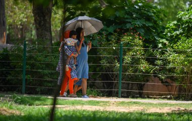 NEW DELHI INDIA 3 HAZİRAN 2023 Sıcak bir yaz gününde Delhi Hayvanat Bahçesi 'nde 3 Haziran 2023' te Yeni Delhi Hindistan Fotoğrafı: Raj K Raj Hindustan Times