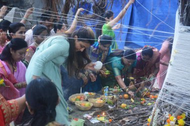 MUMBAI INDIA 3 HAZİRAN 2023 Geleneksel giyinmiş evli kadınlar etrafındaki Banyan ağacına iplikler bağlayıp Vat Savitri Vrat 'ı kocalarının refahı ve uzun yaşamı için tutarlar ve her kocalarında aynı şeyi arzularlar.