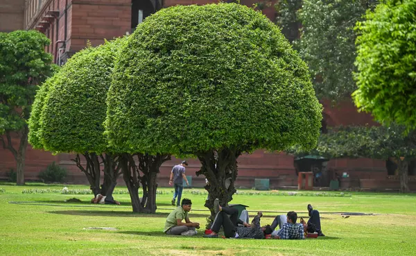 NEW DELHI INDIA 12 HAZİRAN 2023 Sıcak bir yaz gününde Vijay Chowk Lawn 12 Haziran 2023 'te Hindistan' ın Yeni Delhi 'de Hindistan' ın çeşitli yerlerinde sıcak hava dalgalarına tanık oluyor. Fotoğraf: Raj K Raj Raj Hindustan Times
