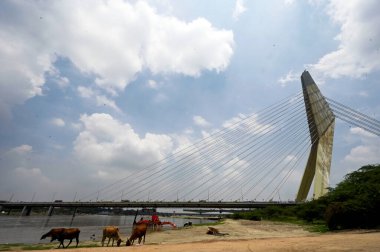 NEW DELHI INDIA HAZİRAN 28 HAZİRAN 2023 Yamuna nehri üzerinde İmza Köprüsü yakınında 28 Haziran 2023 'te Yeni Delhi Hindistan Fotoğrafı: Sanjeev Verma Hindustan Times