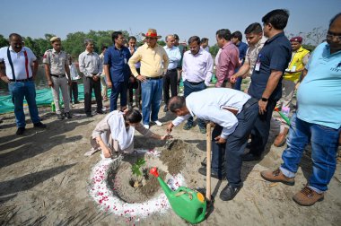 NEW DELHI INDIA 7 Mayıs 2023 Vinai Kumar Saxena Delhi Vali Yardımcısı, 7 Mayıs 2023 tarihinde Yeni Delhi 'de Yamuna Çarşısı yakınlarındaki Yamuna Nehri' ndeki yetkililer tarafından yenilenmekte olan Mini Adaları ziyareti sırasında Kiraz Adası 'na ağaç dikmiştir.