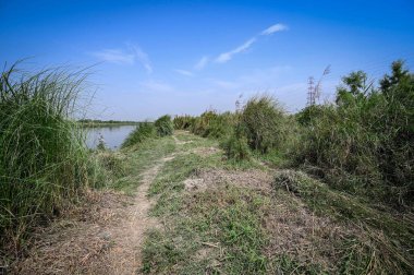 NEW DELHI INDIA MAYIS 7 2023 Vinai Kumar Saxena vali yardımcısı olarak Çin adasının görüntüsü Yamuna Çarşısı yakınlarındaki Yamuna Nehri yetkilileri tarafından yenilenen Mini Adaları denetliyor 7 Mayıs 2023 tarihinde Yeni Delhi Hindistan Fotoğrafı