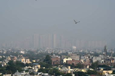 NOIDA INDIA OCTOBER 28 Ekim 2024 'te Noida Hindistan' da 28 Ekim 2024 'te sisli havada yutulan yükseliş Noida otoritesi, organizatör ve apartman sahipleri derneklerinden konut kulelerine hava baskınlarını hafifletmek amacıyla sis tabancası yerleştirmelerini istedi.