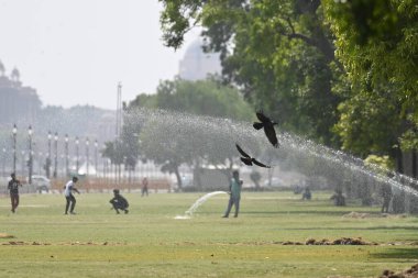 NEW DELHI INDIA 15 Mayıs 2023 Sıcak bir günde Hindistan Kapısı yakınlarındaki Central Vista Lawns 'da görüldü. Fotoğraf: Sanchit Khanna Hindustan Times