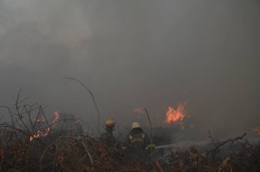 NEW DELHI INDIA 19 Mayıs 2023 Perşembe akşamı Sektör 30 'daki boş bir arsada çıkan yangın, yakındaki bölge sakinlerini 19 Mayıs' ta gözlerinde yanma hissi uyandırarak Cuma sabahına kadar yanmaya devam etti.