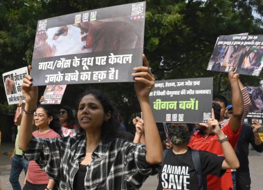 NEW DELHI INDIA NOVEMBER 9. 2024 İnsanlar, 9 Kasım 2024 'te Jantar Mantar' da hayvanlara yönelik hayvan istismarına ve kişilik statüsüne karşı protesto düzenlediler. 