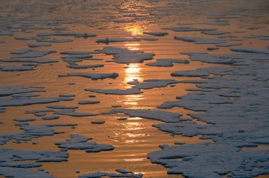 NEW DELHI INDIA NOVEMBER 27 2024 Yamuna Nehri manzarası 27 Kasım 2024 'te Yeni Delhi Hindistan' da Sunil Ghosh Hindustan Times tarafından çekilmiştir. 