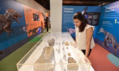 MUMBAI INDIA NOVEMBER 29 Kasım 2024 Aramızdaki Dinozorlar Amerikan Doğal Tarih Müzesi tarafından 29 Kasım 2024 tarihinde Mumbai Hindistan 'da Anshuman Poyrekar Hindustan Times tarafından çekilmiştir. 