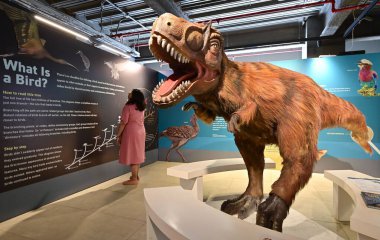 MUMBAI INDIA NOVEMBER 29 Kasım 2024 Aramızdaki Dinozorlar Amerikan Doğal Tarih Müzesi tarafından 29 Kasım 2024 tarihinde Mumbai Hindistan 'da Anshuman Poyrekar Hindustan Times tarafından çekilmiştir. 