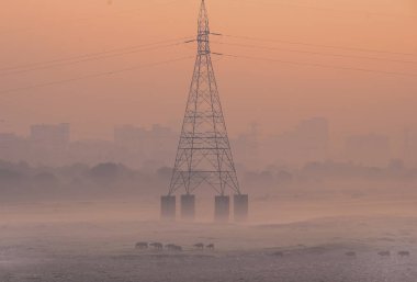 NEW DELHI, INDIA - DECEMBER 8, 2024: A foggy and cold morning view near Kalindi Kunj amid rising air pollution. Air pollution level in Delhi NCR remains bad, on December 8, 2024 in New Delhi, India. Delhi's minimum temperature hovers around 7C.  clipart