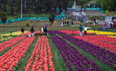 3 Nisan 2023 tarihinde Srinagar Hindistan Başbakanı Narendra Modi Asya 'nın en büyük lale bahçesinde Jammu ve Kaşmir' in güzel ve hatta daha da fazlası olduğunu söyleyen bahçe resimlerini paylaşmak için twitter 'a götürdü.