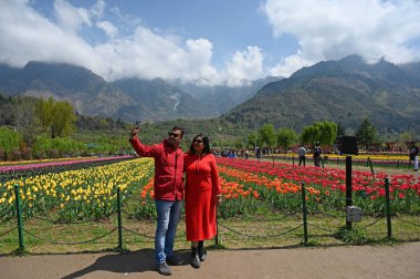 6 Nisan 2023 'te Asya' nın en büyük lale bahçesinde 6 Nisan 2023 'te Srinagar Hindistan' daki dağların eteklerinde 68 çeşit 16 milyon lale ampulü çiçek açarken 30 hektarlık muhteşem teras bahçesinde görüldü. 