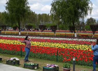 6 Nisan 2023 'te Asya' nın en büyük lale bahçesinde 6 Nisan 2023 'te Srinagar Hindistan' daki dağların eteklerinde 68 çeşit 16 milyon lale ampulü çiçek açarken 30 hektarlık muhteşem teras bahçesinde görüldü. 