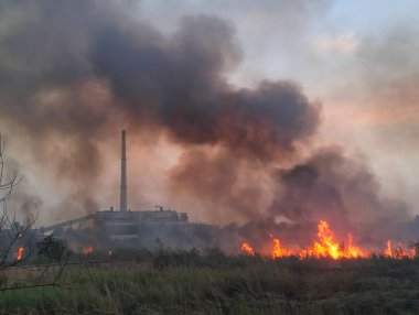 NEW DELHI INDIA 11 Nisan 2023 Rajghat 'ın arka tarafında orman tarafında 11 Nisan 2023' te Yeni Delhi Hindistan Fotoğrafı: Sonu Mehta Hindustan Times