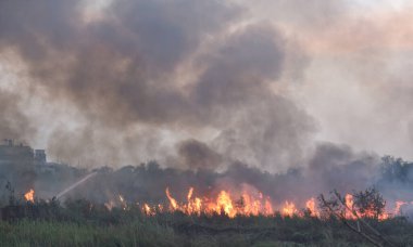 NEW DELHI INDIA APRIL 11 2023 Big fire in forest side at back side of Rajghat on April 11 2023 in New Delhi India Photo by Sonu Mehta Hindustan Times clipart