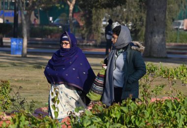 NEW DELHI, INDIA - 14 Aralık 2024: Ziyaretçiler 14 Aralık 2024 'te Yeni Delhi, Hindistan' da Kartavya Yolu Lawns 'da sabah güneşinin tadını çıkarıyorlar..