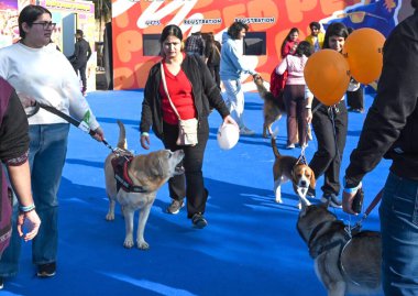 NEW DELHI, INDIA - 14 Aralık 2024: Evcil hayvan severler 14 Aralık 2024 tarihinde Hindistan 'ın Yeni Delhi kentinde, NSIC Ground' da evcil hayvan festivaline katıldılar. (Fotoğraf: Vipin Kumar / Hindustan Times )