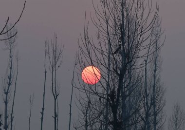 SRINAGAR INDIA 17 ARALIK 2024 Kışlık Gün batımı 17 Aralık 2024 soğuk bir akşam Srinagar Hindistan 'da soğuk hava dalgası Kashmir' i kavrarken Srinagar eksi 53 derece Celcius Fotoğrafı: Waseem Andrabi Hindustan Times