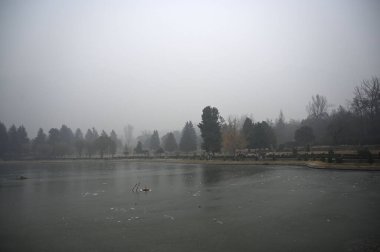 SRINAGAR INDIA 23 ARALIK 2024 23 ARALIK Srinagar Hindistan 'da 23 Aralık 2024 günü kısmen donmuş bir gölet manzarası dondurucu koşullar su kaynaklarının dondurulmasına yol açtı ve günlük su tedarik hatları için artan mücadele