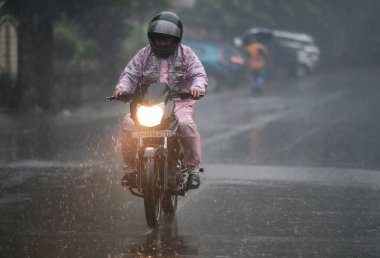 NOIDA, INDIA - 27 Aralık 2024 'te Hindistan' ın Noida kentinde kış yağmuru sırasında Kuzey Hindistan 'da şiddetli soğuk hava dalgalarına yağmur yağdı. Delhi ve yakındaki bölgelerde mod alındı