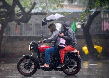 NoIDA INDIA 27 ARALIK 2024 Kış yağmuru sırasında sektör 12 'de yağan yağmurlar Kuzey Hindistan' da şiddetli soğuk dalgasına neden oldu. Delhi NCR 'nin bazı bölgelerinde 27 Aralık 2024' te Noida Hindistan 'da yağmur yağdı.