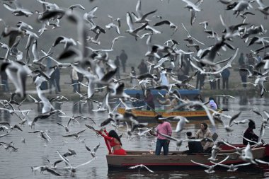 NEW DELHI INDIA DECEMBER 29 2024 Yamuna Ghat at Kashmiri Gate emerges as the most iconic picnic spot during sunrise on weekend as people in large numbers gathered to feed seagull birds on December 29 2024 in New Delhi India North India is reeling und clipart