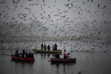 NEW DELHI INDIA DECEMBER 29 2024 Yamuna Ghat at Kashmiri Gate emerges as the most iconic picnic spot during sunrise on weekend as people in large numbers gathered to feed seagull birds on December 29 2024 in New Delhi India North India is reeling und clipart