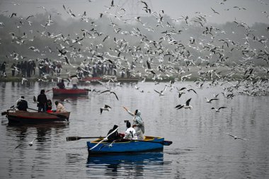 NEW DELHI INDIA DECEMBER 29 2024 Yamuna Ghat at Kashmiri Gate emerges as the most iconic picnic spot during sunrise on weekend as people in large numbers gathered to feed seagull birds on December 29 2024 in New Delhi India North India is reeling und clipart