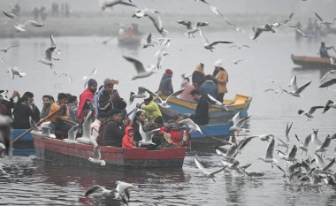 YENİ DELHI INDIA 29 ARALIK 2024 Turistler, 29 Aralık 2024 'te Yeni Delhi' deki Yamuna Çarşısı 'nda soğuk ve sisli bir sabahta göçmen kuşları besler.