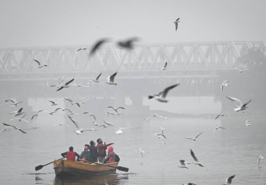 YENİ DELHI INDIA 29 ARALIK 2024 Turistler, 29 Aralık 2024 'te Yeni Delhi' deki Yamuna Çarşısı 'nda soğuk ve sisli bir sabahta göçmen kuşları besler.