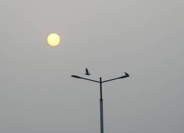 NOIDA, Hindistan - 31 ARALIK 2024 yılının son gün batımının görüntüsü, 31 Aralık 2024, Noida, Hindistan. 