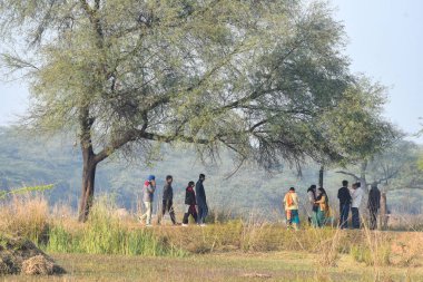 GURUGRAM INDIA JANUARY 5 2025 Migratory and domestic birds seen at Sultanpur National Park on the occasion of National Bird Day at Farrukhnagar road near Sultanpur village on January 5 2025 in Gurugram India National Bird Day celebrated on January 5  clipart