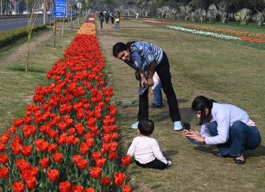 NEW DELHI INDIA FEBRUARY 11 2025 Lt Governor Delhi Vinai Kumar Saxena with Ambassador Kingdom of the Netherlands Marisa Gerards inaugurating the NDMC Tulip Festival2025 and participate in Tulip Walk and also visit Tulip Exhibition clipart