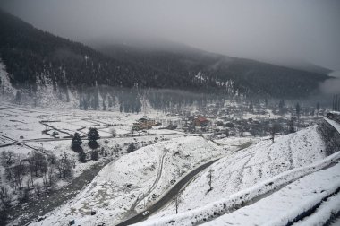 Karla kaplı ağaçlarla kaplı kış manzarası