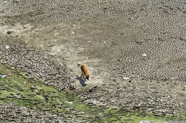 NEW DELHI, INDIA - 26 Mart 2025: nehir yatağı görülebilir ve Yamuna 'nın 26 Mart 2025' te Yeni Delhi, Hindistan 'da kuruduğunu gören ITO barajı boyunca akan sadece küçük bir dere. Yeni BJP hükümet gündeminin merkezinde Yamuna 'nın temizlenmesi yer alıyor.