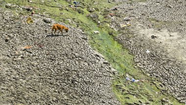 NEW DELHI, INDIA - 26 Mart 2025: nehir yatağı görülebilir ve Yamuna 'nın 26 Mart 2025' te Yeni Delhi, Hindistan 'da kuruduğunu gören ITO barajı boyunca akan sadece küçük bir dere. Yeni BJP hükümet gündeminin merkezinde Yamuna 'nın temizlenmesi yer alıyor.
