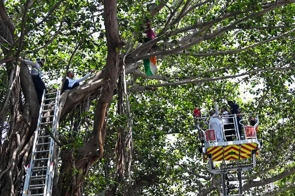 MUMBAI, INDIA - 26 Mart 2025: Beed ilçesinden bir çiftçi olan Ishwar Shinde, Mumbai Nariman Point 'te Vidhan Bhavan' ın önündeki ağaca tırmanarak dramatik bir protesto gerçekleştirdi..